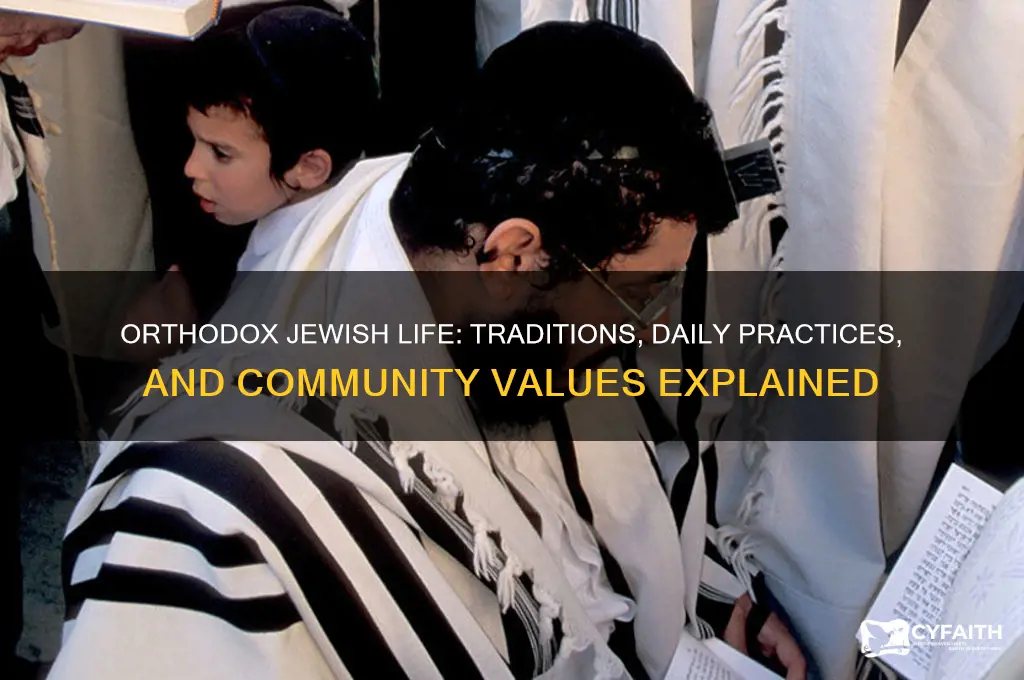 how do orthodox jews live