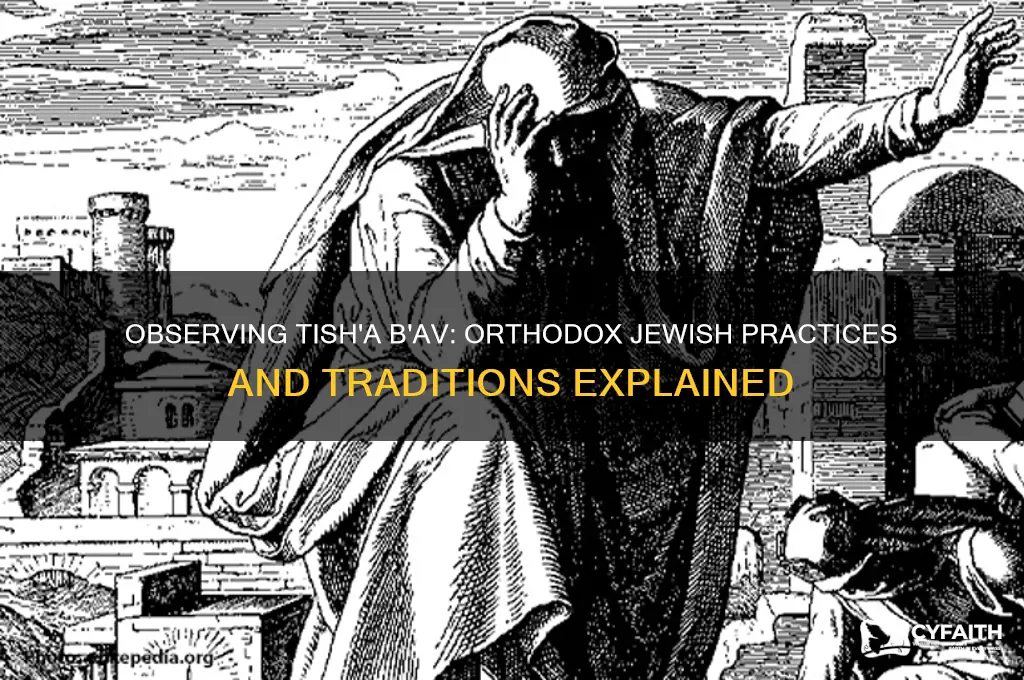 how do orthodox jews observe tish abov