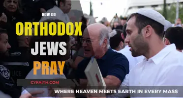 Understanding Orthodox Jewish Prayer: Rituals, Practices, and Daily Devotion