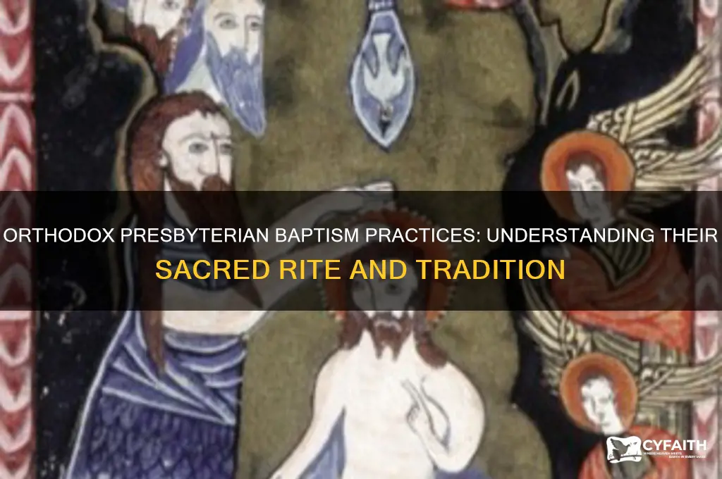 how do orthodox presbyterians baptize
