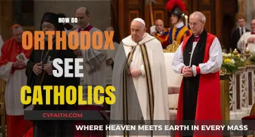 Orthodox Perspectives on Catholics: Understanding Theological and Cultural Differences