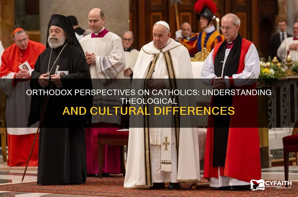 how do orthodox see catholics