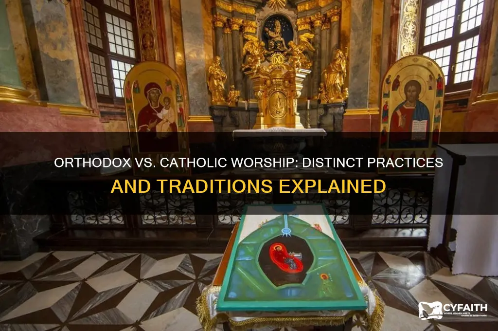 how do orthodox worship differently than catholics