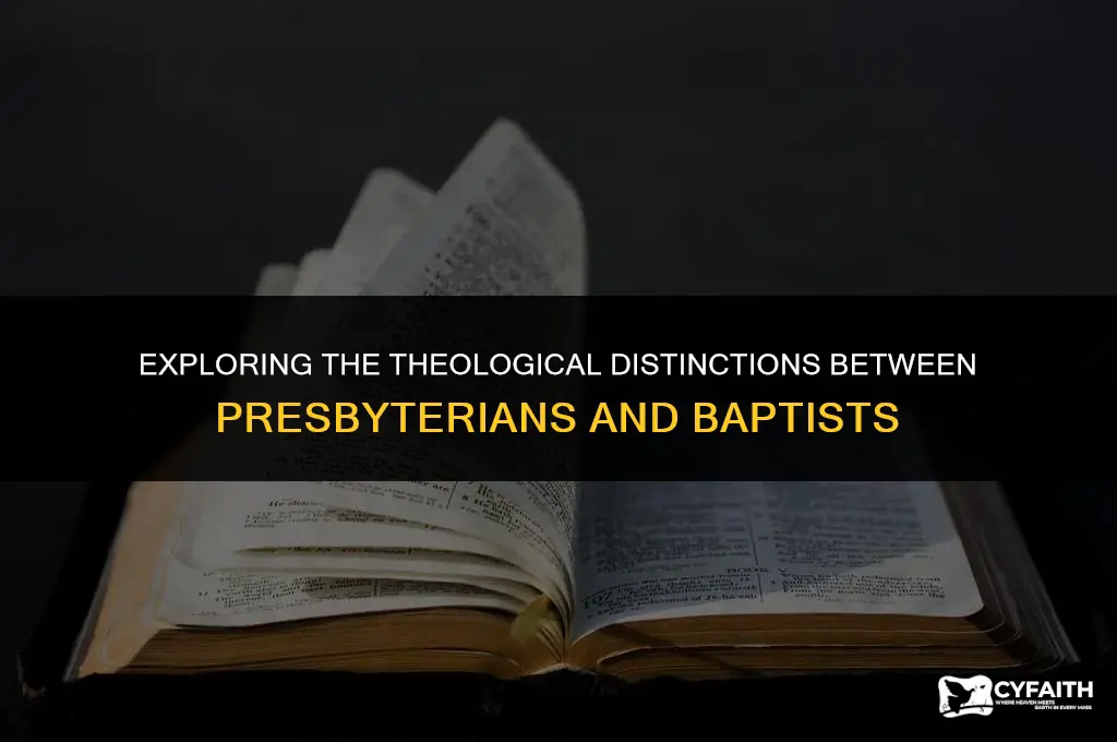 how do presbyterians differ from baptists