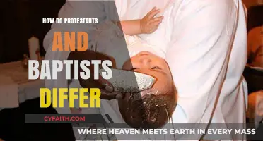 Exploring the Theological Distinctions Between Protestantism and Baptism