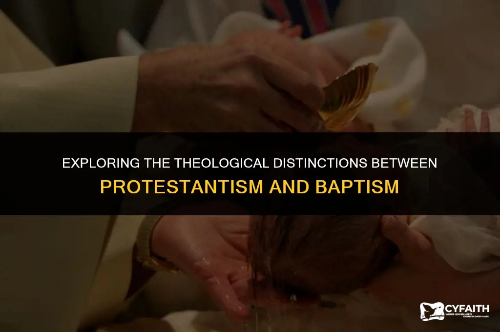 how do protestants and baptists differ