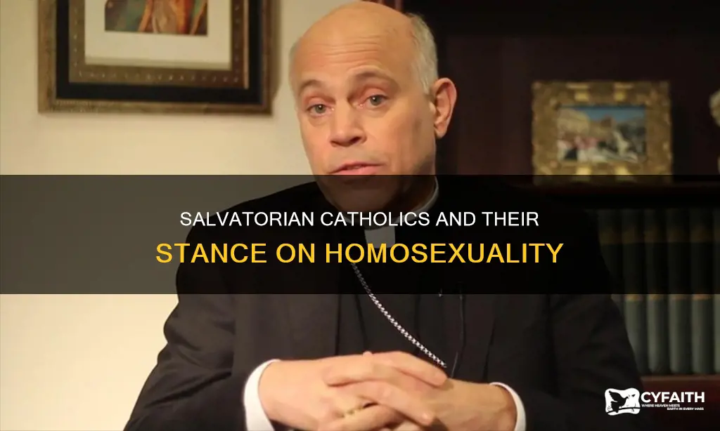 how do salvatorian catholics regard homosexuality
