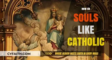 Exploring Catholic Beliefs: Understanding the Soul's Role in Faith and Eternity