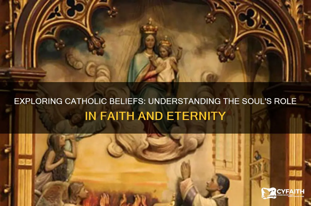 how do souls like catholic
