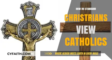 Standard Christians' View on Catholicism
