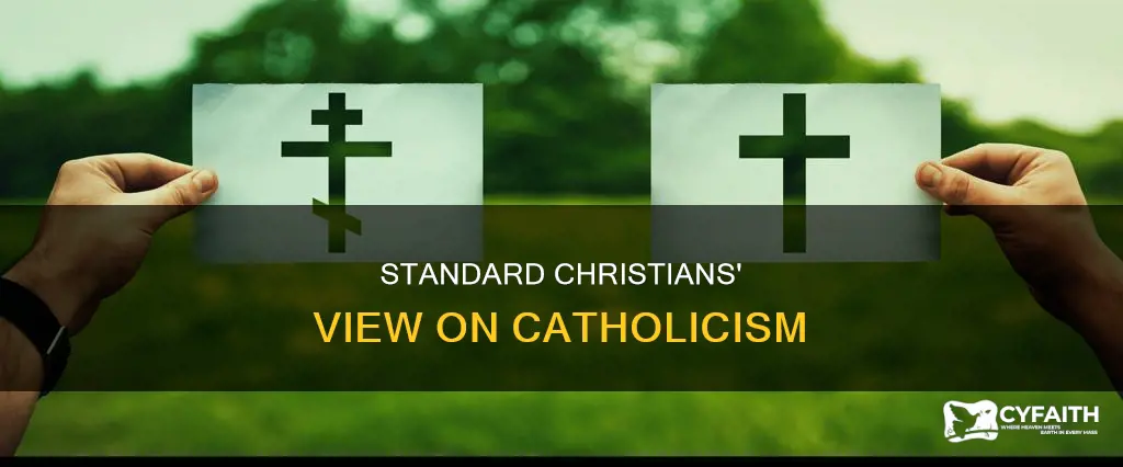 how do standard christrians view catholics