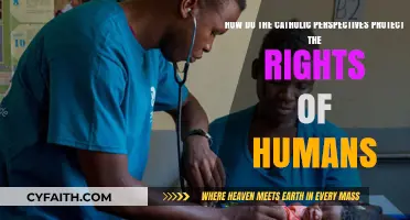 Catholic Teachings: Safeguarding Human Dignity and Fundamental Rights
