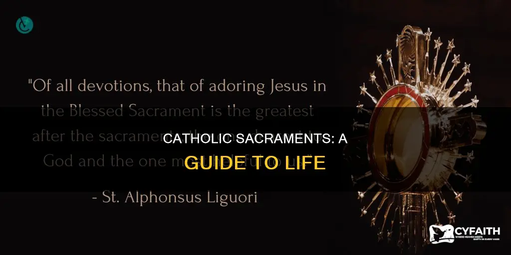 how do the catholic sacraments impact my life