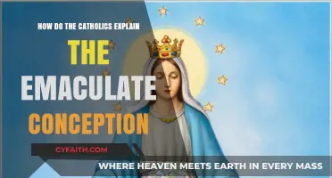 The Immaculate Conception: A Catholic Mystery Explained