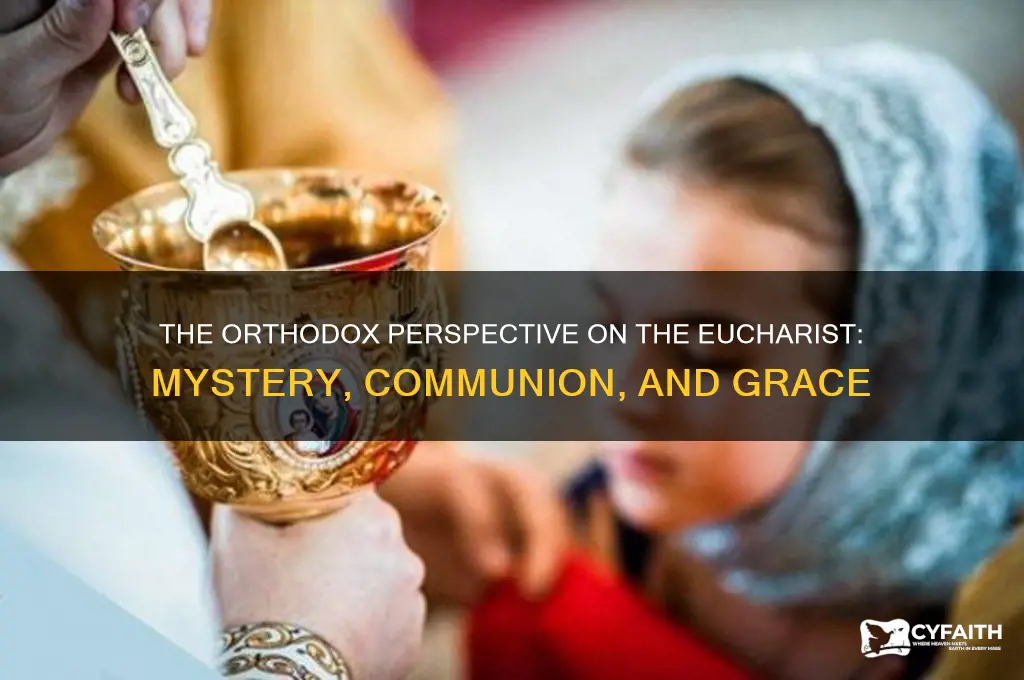 how do the orthodox view the eucharist