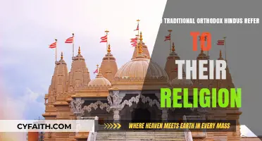 Understanding Sanatan Dharma: How Orthodox Hindus Refer to Their Faith
