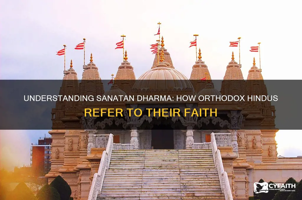 how do traditional orthodox hindus refer to their religion