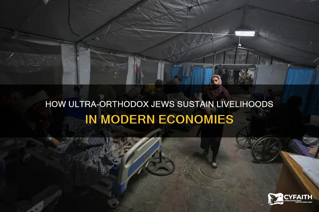 how do ultra orthodox make money