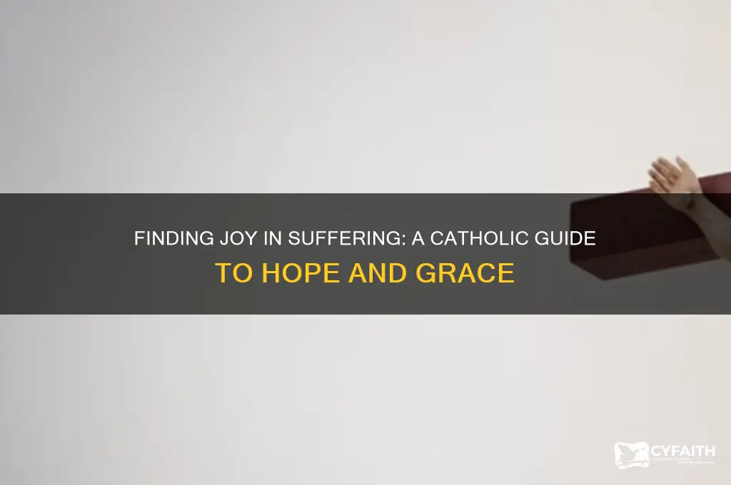 how do we find joy in suffering catholic perspective
