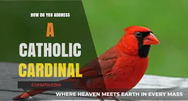 Addressing a Catholic Cardinal: The Proper Etiquette