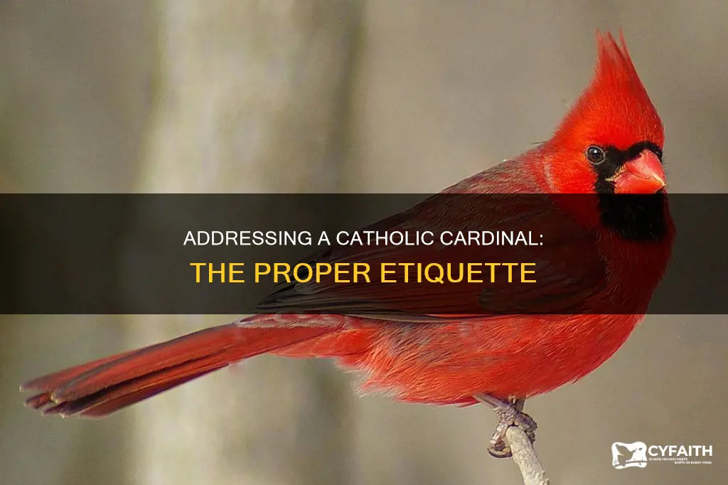 how do you address a catholic cardinal