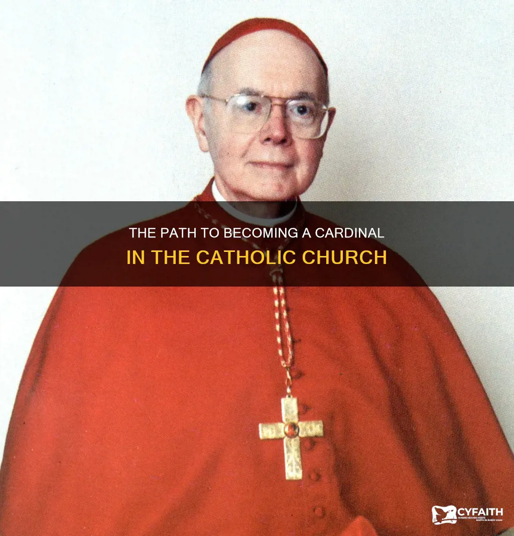 how do you become a catholic cardinal