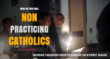 The Evolution of Catholic Identity: Non-Practicing Catholics