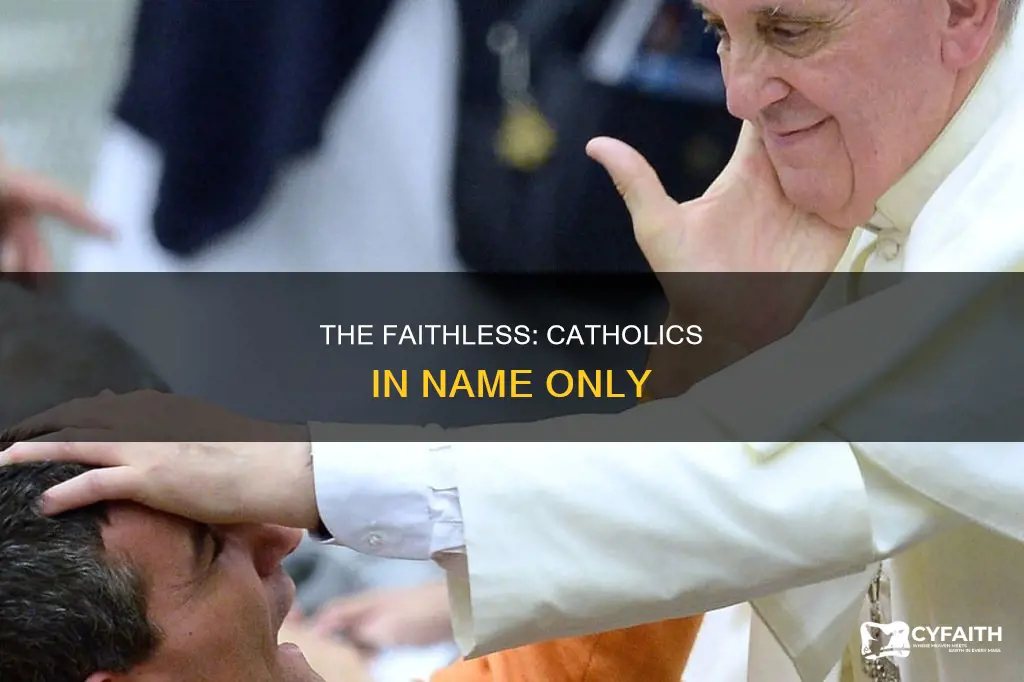 how do you call not practitional catholics