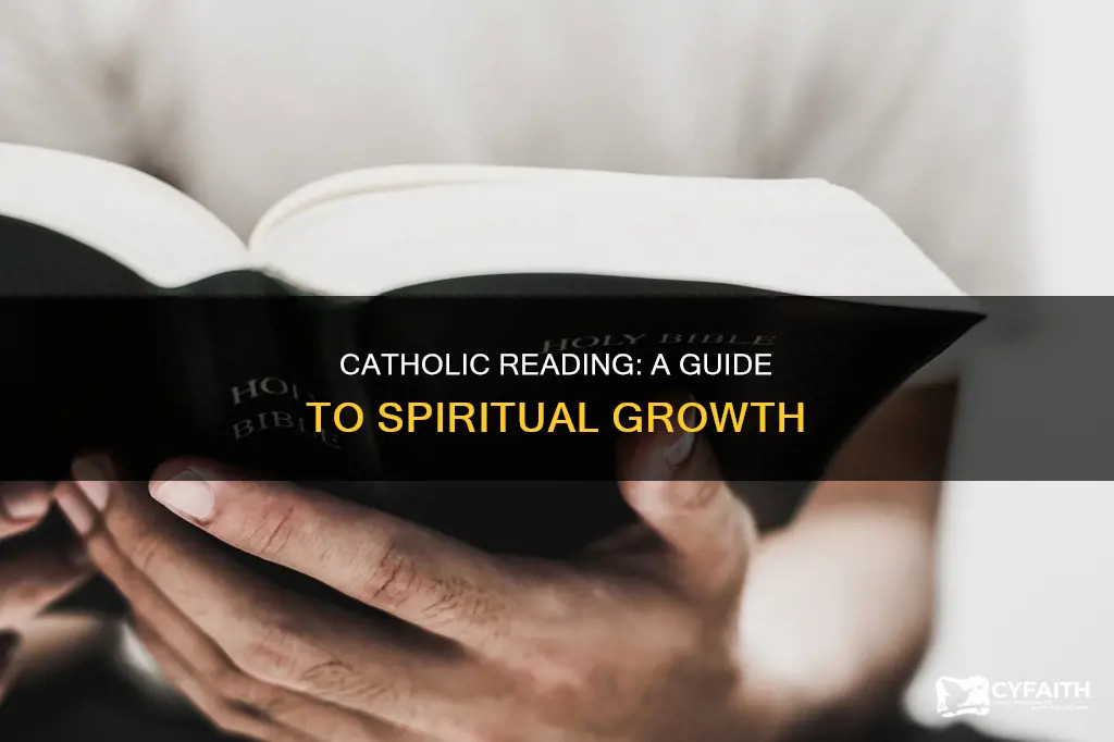 how do you do a catholic reading