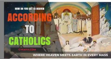Catholic Path to Heaven: Faith, Sacraments, and Eternal Life