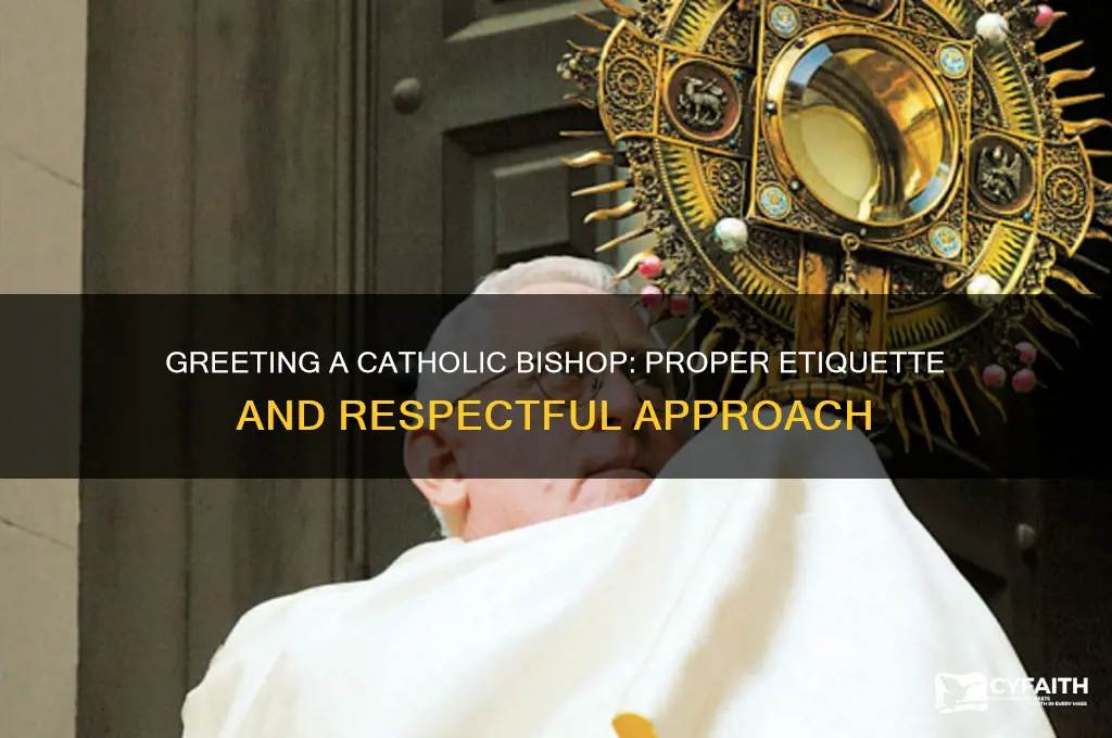 how do you greet a catholic bishop in person