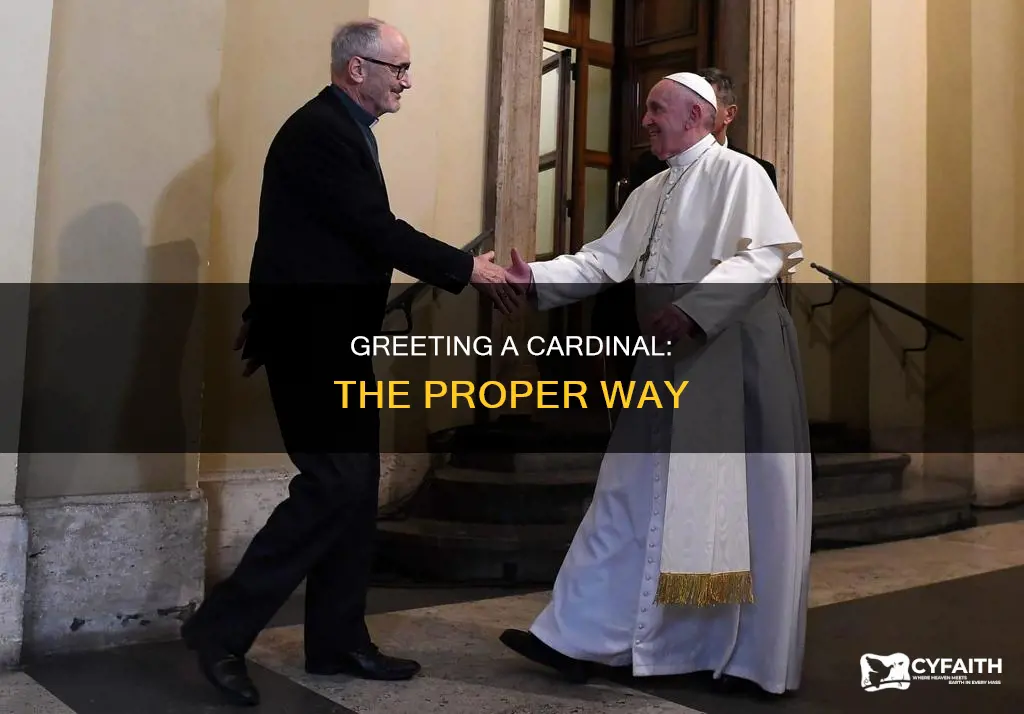 how do you greet a catholic cardinal