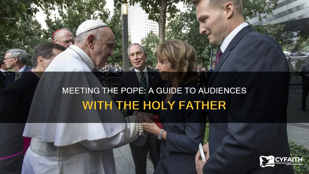 how do you meet the pope