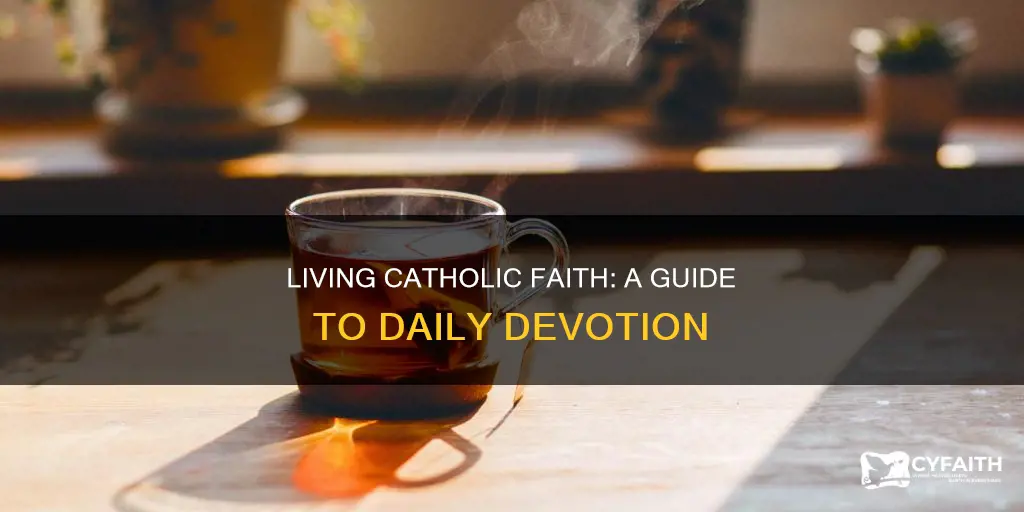 how do you really live catholic faith