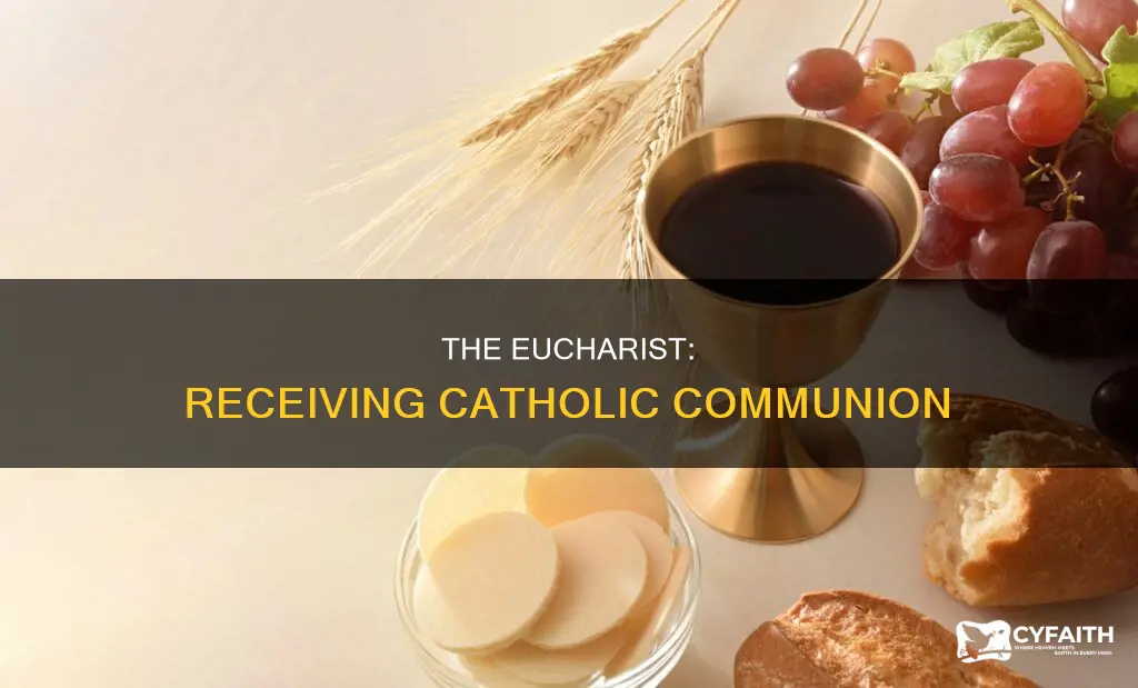 how do you receive catholic communion