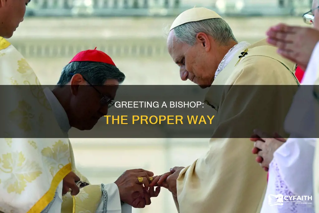 how do you salute a catholic bishop