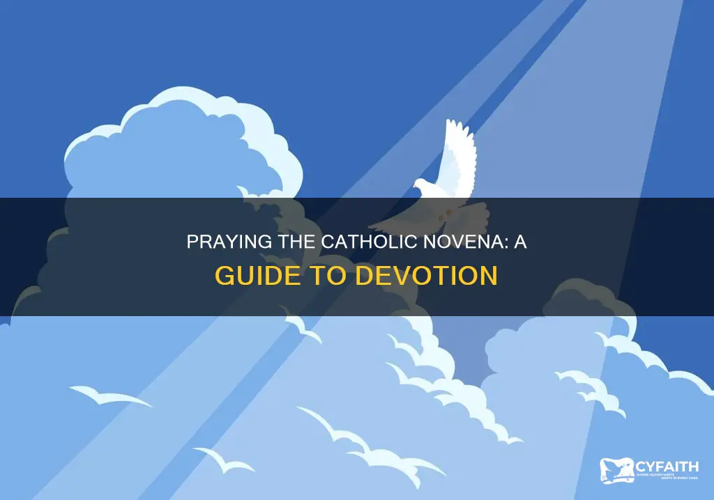 how do you say a catholic novena
