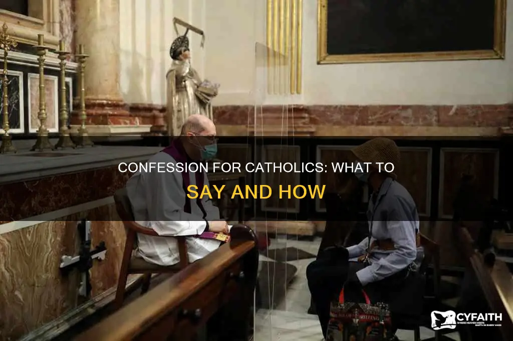 how do you say catholic confession