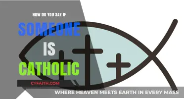 Recognizing Catholic Identity: What to Look For