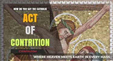 Mastering the Catholic Act of Contrition: A Guide to Reciting It