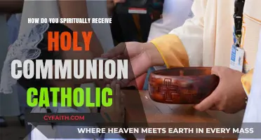 Holy Communion: A Spiritual Catholic Experience