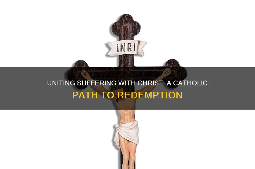 how do you unite your suffering with chrsit catholic