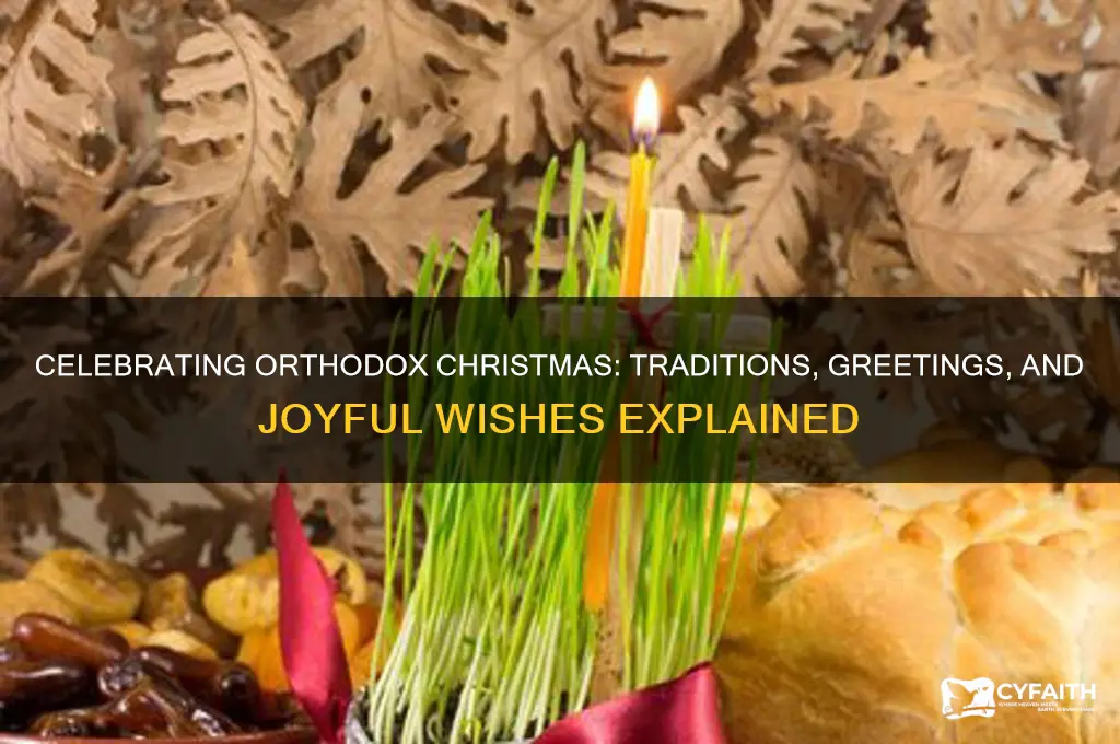 how do you wish orthodox christmas