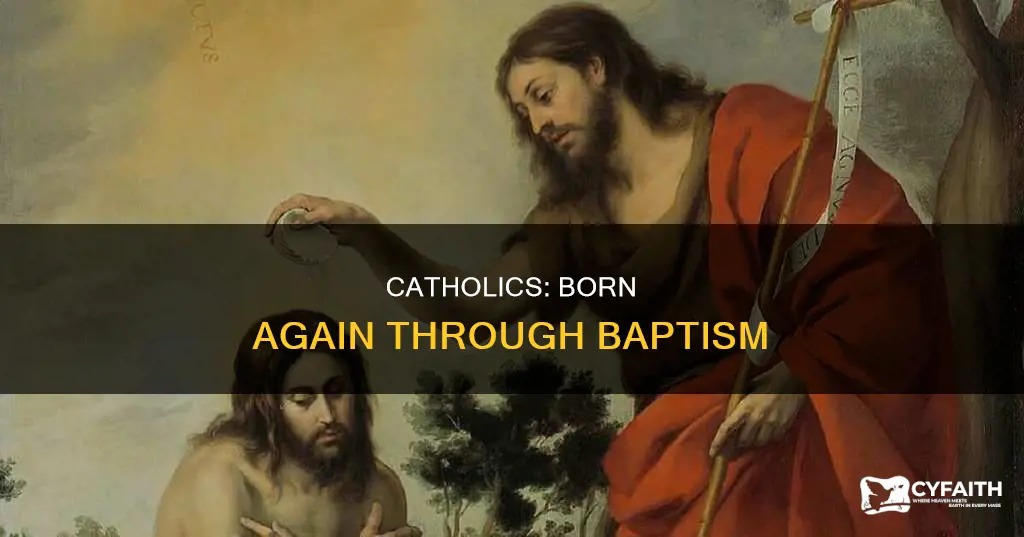how does a catholic become born again