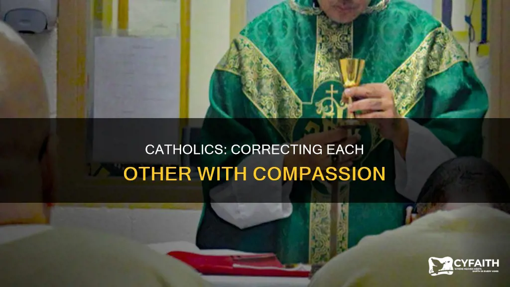 how does a catholic correct another catholic