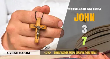 Understanding John 3:7 as a Catholic