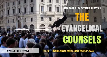 Living the Evangelical Counsels: A Lay Catholic's Practical Guide