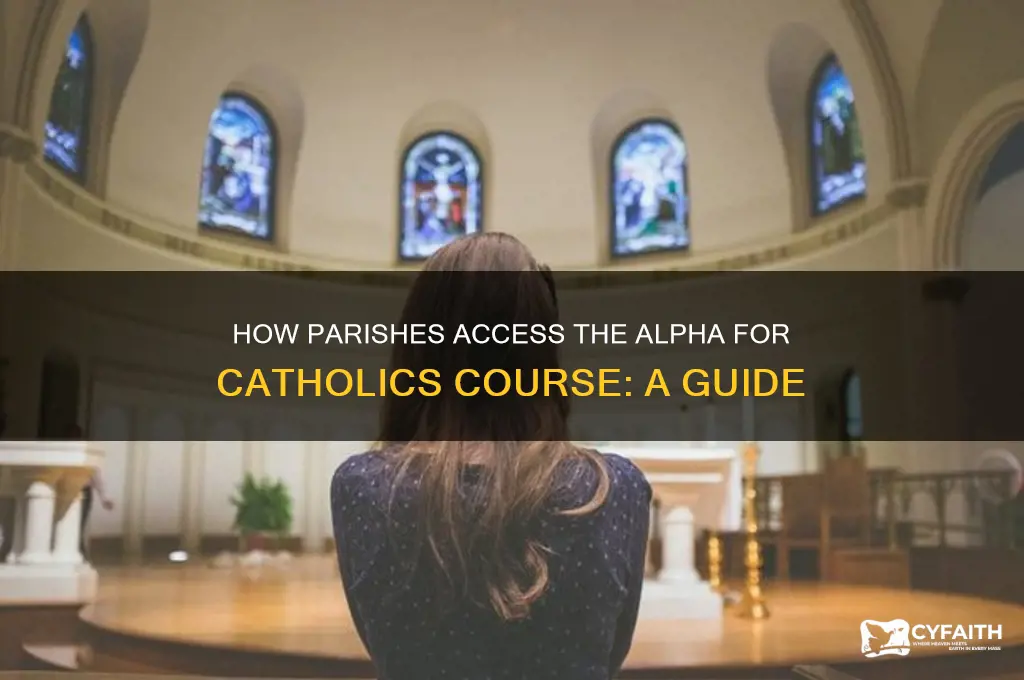 how does a pareish obtain the alpha for catholics course
