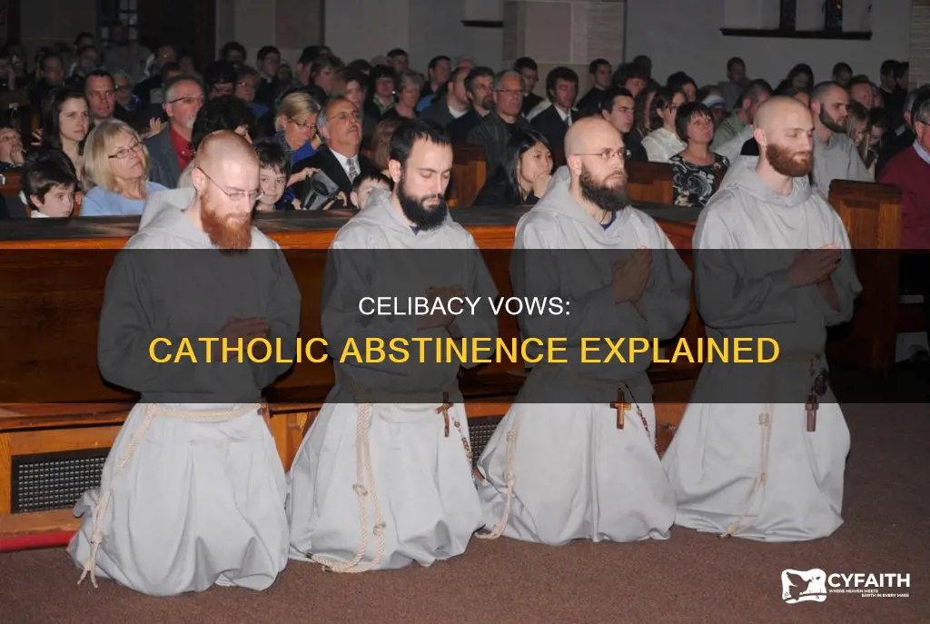 how does a vow of celibacy catholic
