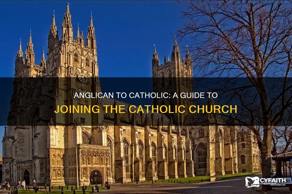 how does an anglican join the catholic church